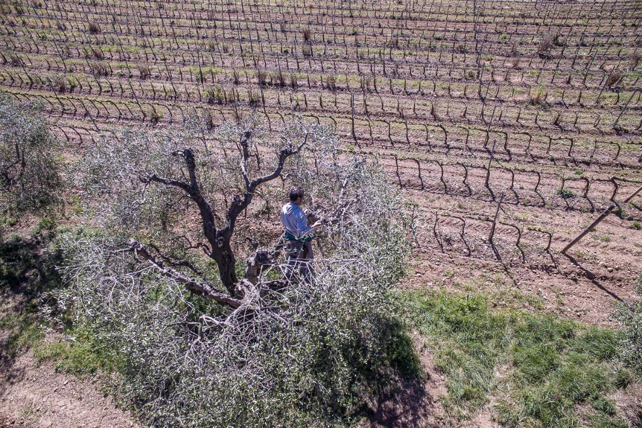Agriturismo Ristorante Monte Argentario Buitenkant foto